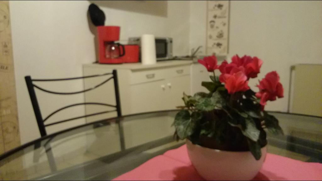 Ferienwohnung An Der Loreley Bornich エクステリア 写真